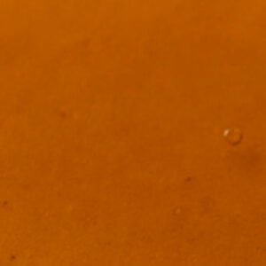 Huile de Neem Hydrosoluble Bio