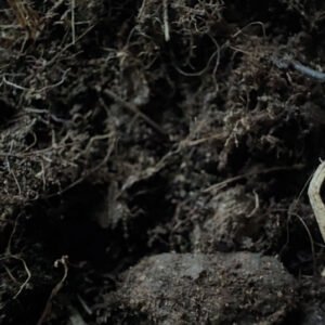 Light-Mix Organic